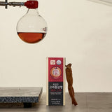 JUNGWONSAM 6-Year-Old Korean Red Ginseng Extract 365 Stick Gift Set | 10g × 30 Sticks (300g)