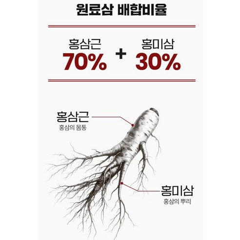 KOREA HONGSAM JUNGANGHOE Immune Boost Korean Red Ginseng Stick | Ginsenosides 60mg | 10g × 50 Sticks (500g) | Made in Korea