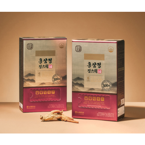 HANSAMIN by NH Hongsam Red Ginseng Extract Jin Stick | 10g × 100 Sticks (1kg) | Made in Korea